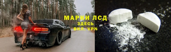 spice Бугульма